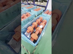 IP66 tự khóa hai trục